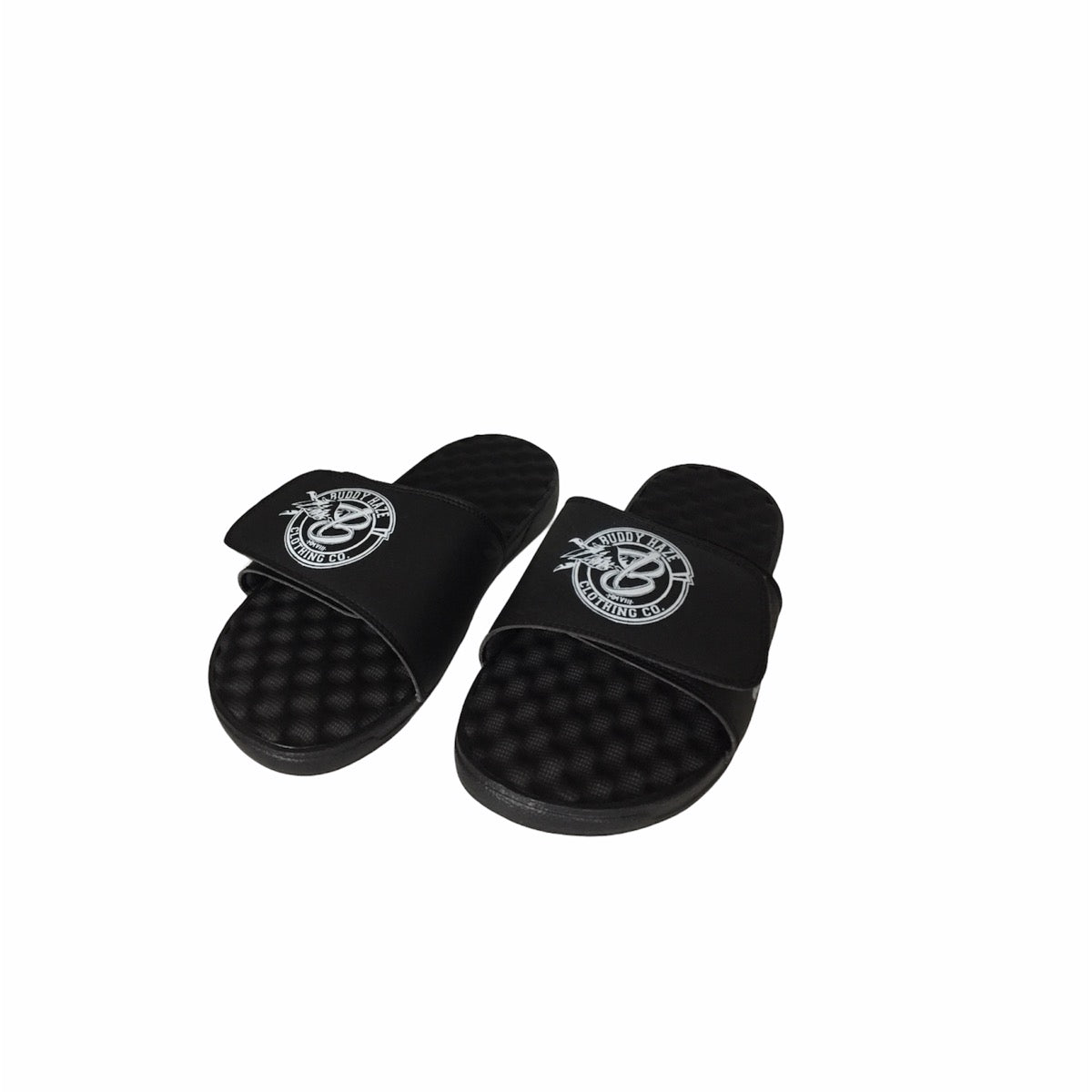 BH LOGO SLIDES